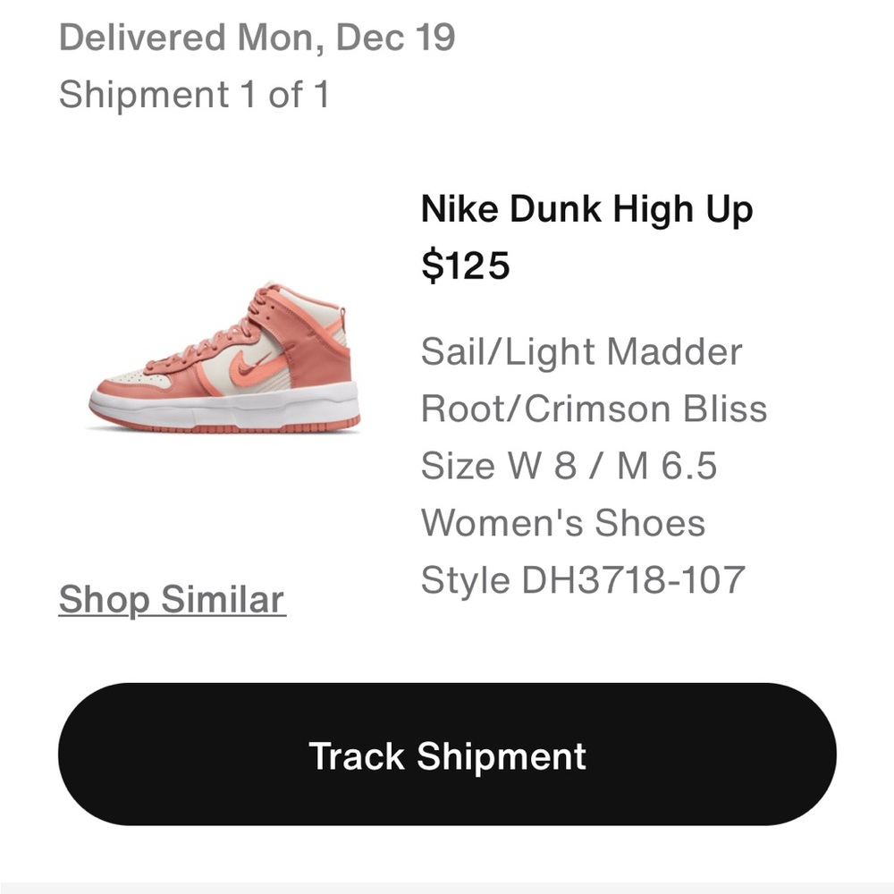 Nike dunk high top